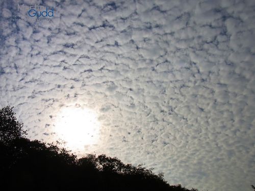 Wasserwolken (Beispiel Altocumulus) / Water clouds (Altocumulus)