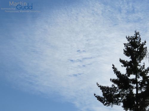 Typischer Altocumulus lacunosus (Wabenform)