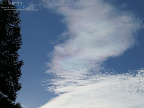 Irisierender Altocumulus lenticularis / Iridescence at Altocumulus lenticularis