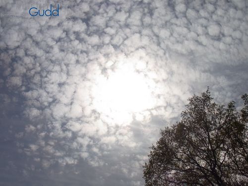 Dünner Ac mit Lücken zwischen den Wolkenelementen (Ac perlucidus translucidus)